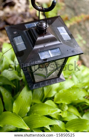 An iron hanging lantern dangling over a green plant.