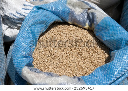 A grain packed in a bag at a farmers market.