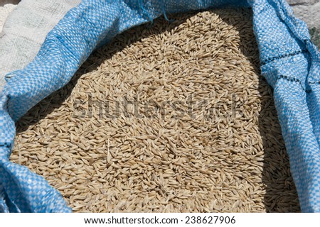 A grain packed in a bag at a farmers market.