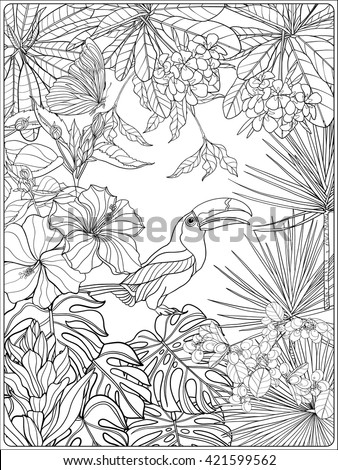 Tropical wild birds and plants. Tropical garden collection. Coloring page. Coloring book for adult and older children.  Outline vector