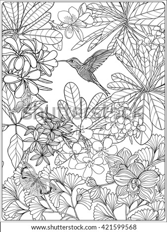 Tropical wild birds and plants. Tropical garden collection. Coloring page. Coloring book for adult and older children.  Outline vector