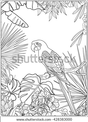 Tropical wild birds and plants. Tropical garden collection. Coloring page. Coloring book for adult and older children. Outline vector