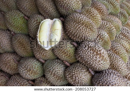 King of fruits, Durian fruit