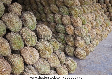 King of fruits, Durian fruit
