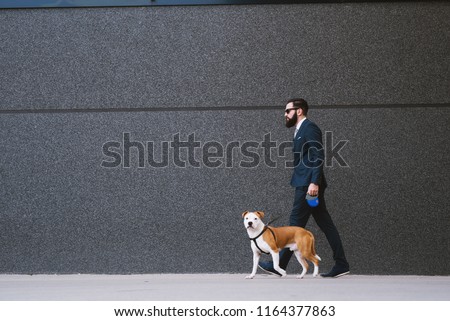 Businessman walking dog at street. Best friends walking. Handsome businessman hipster walking dog.