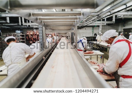 Workers at meet industry handle meat organizing packing shipping loading at meat factory.