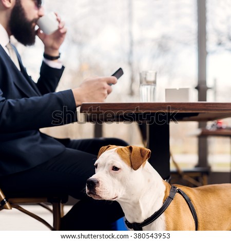 Businessman checking email and drinking coffee while his dog is looking aside.