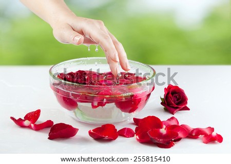 Spa Salon: Beautiful Female Hand with French Manicure in the Glass Bowl of Water with Red Roses and Rose Petals at the Nature Background