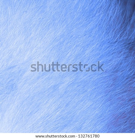 Soft blue animal fur texture