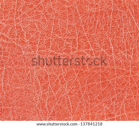 Red animal leather texture background