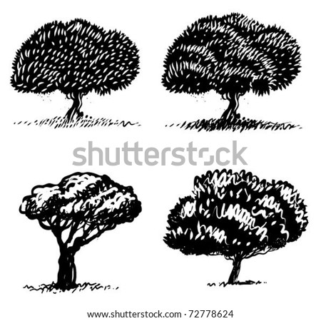 Olive Tree Stock Vector Illustration 72778624 : Shutterstock