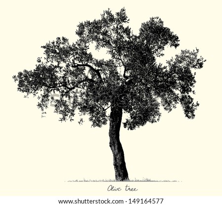 Olive Tree Silhouette, Vector