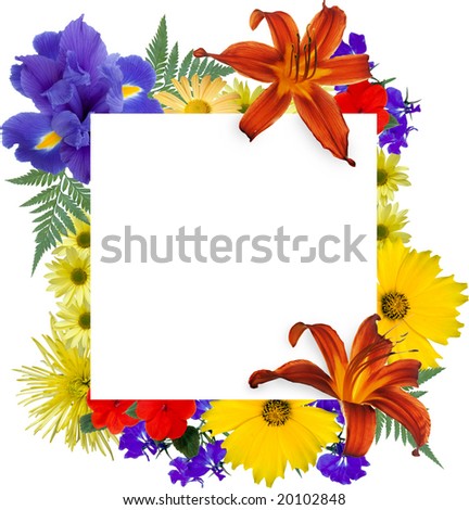 White square, framed by isolated flowers.