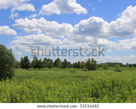 Field and trees under a blue sky with clouds.