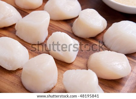 group of many fresh scallops on a wooden cutting board ready to be cooked