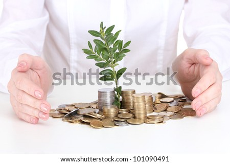 Woman hands with coins and plant