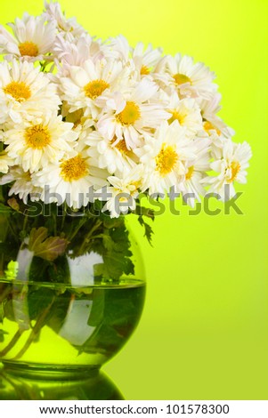 beautiful bouquet of daisies in vase on green background
