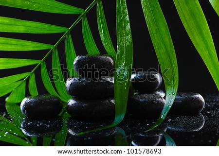 Spa stones with drops and green palm leaf on black background