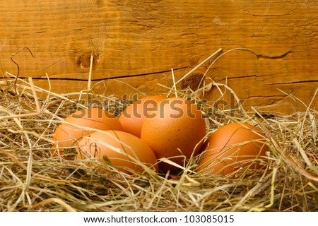 chicken eggs in a nest on wooden background
