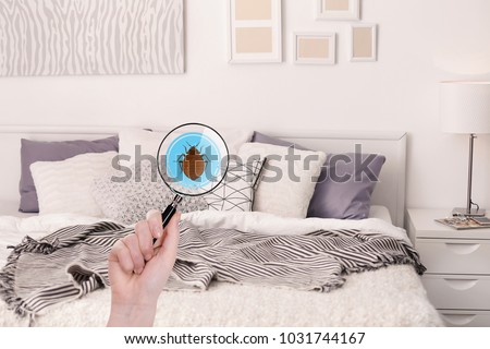 Woman with magnifying glass detecting bed bug in bedroom