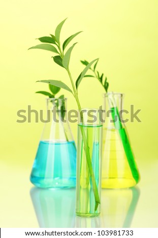test-tubes with a colorful solution and plant on yellow background close-up