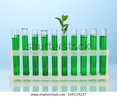 Test-tubes with a green solution and the plant on blue background close-up