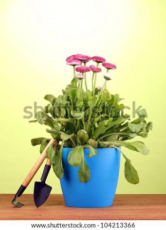 Pink flowers in pot with instruments on wooden table on green background
