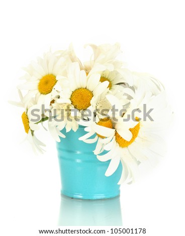 beautiful bouquet of daisy wildflowers in blue metal bucket, on wooden table on blue background