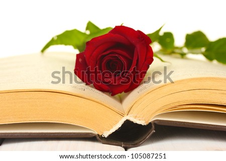a bright red rose on the open book close-up