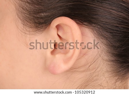 Human ear close-up