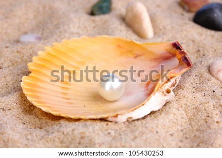 Sea shell with pearl on sand