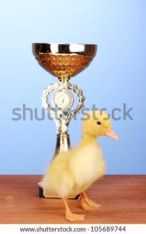Duckling and champion cup on wooden table on blue background