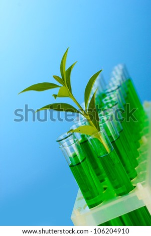 Test-tubes with a green solution and the plant on blue background close-up