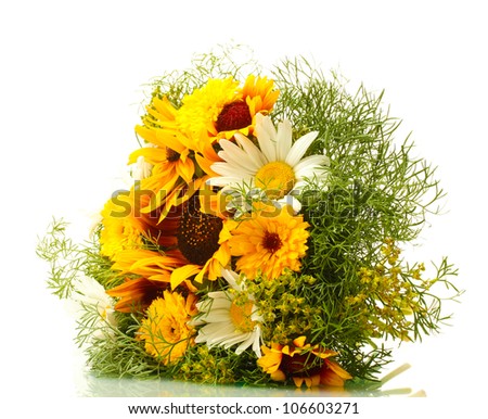 beautiful bouquet of bright wildflowers, isolated on white
