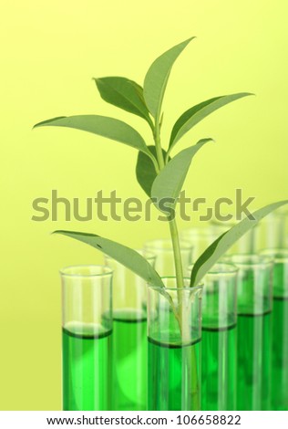 Test-tubes with a green solution and the plant on yellow background close-up