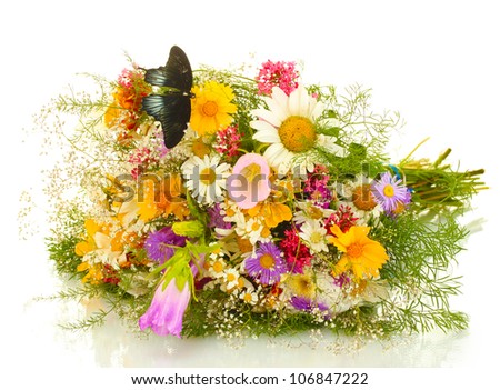 black butterfly on wildflowers isolated on white