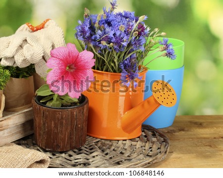 watering can and flowers on wooden table on green background