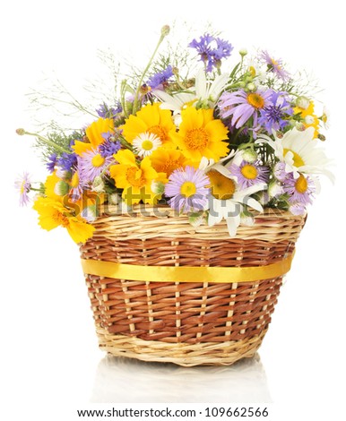 beautiful bouquet of bright  wildflowers in basket, isolated on white