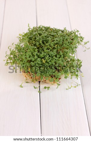 Fresh garden cress close-up on wooden table