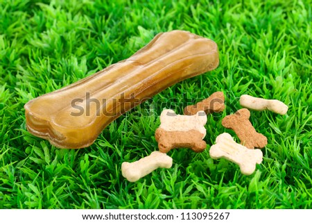 Dog bone on green grass