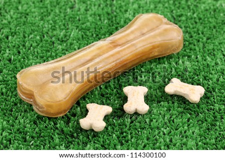 Dog bone on green grass