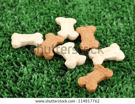 Dry bone-shaped food for dogs on green grass