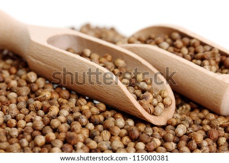 Heap coriander seeds in wooden spoon on white background close-up