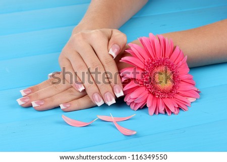 Woman hands with french manicure and flower on blue wooden background