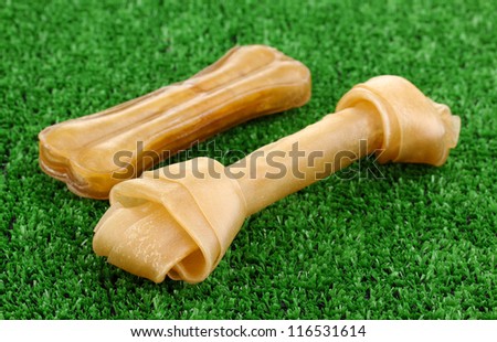 Dog bones on green grass