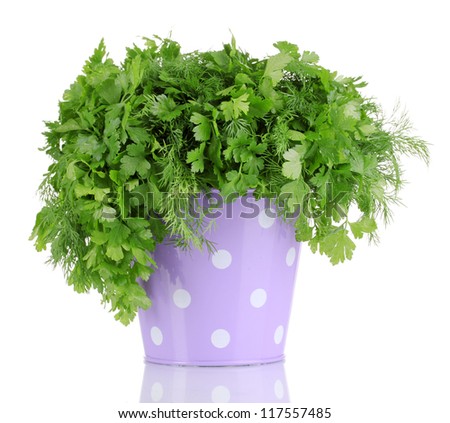 Colorful bucket with parsley and dill isolated on white