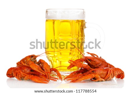 Tasty boiled crayfishes and beer isolated on white