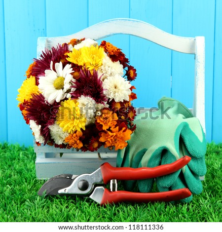 Secateurs with flowers in box on fence background