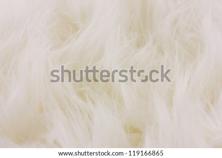 White fur texture, close-up.Useful as background