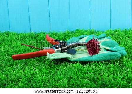 Secateurs with flower on grass on fence background